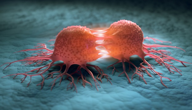 Medical 3D illustration of a dividing cancer cell with a cell surface